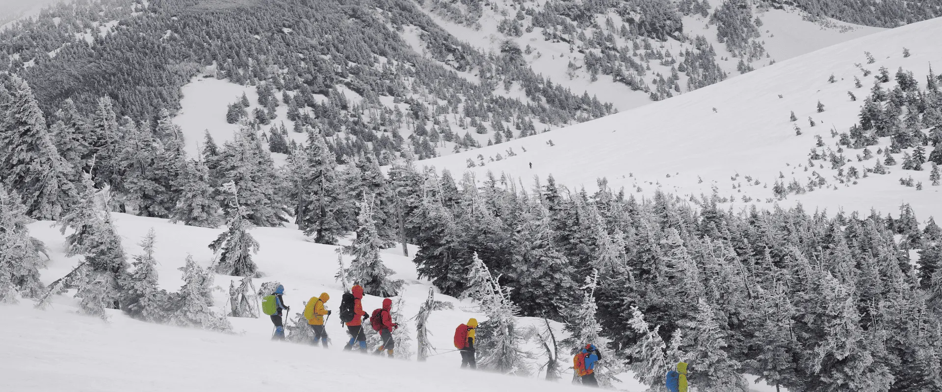 雪上活動：最美好的冬日回憶