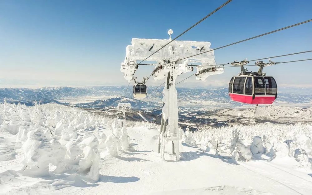 【感官疊加】雙層纜車的雪山視角與新酒的初春滋味