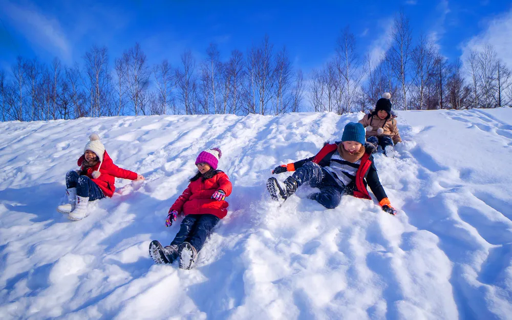 半日滑雪初級體驗
