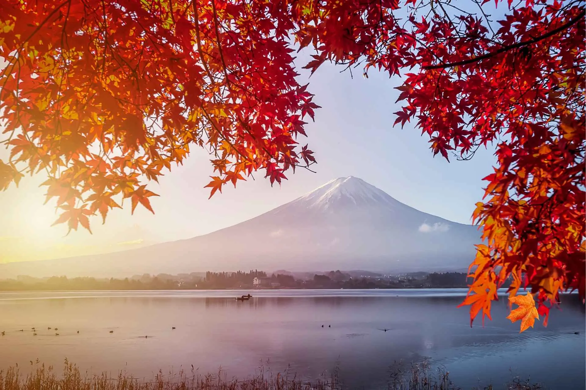 地標巡禮富士山 IG 熱門點位一次收集