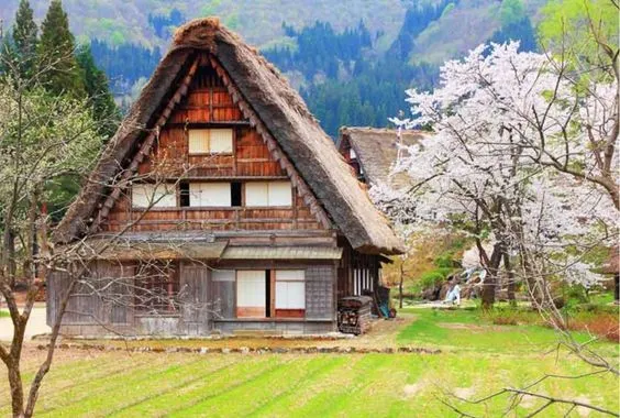 【白川鄉合掌村】