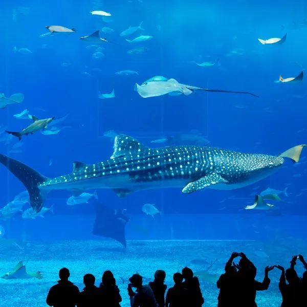 冒險之巔：環球影城攻略