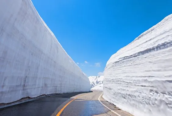 立山黑部阿爾卑斯山(搭乘六種交通工具)遊覽立山連峰